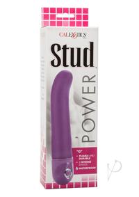 Power Stud g - Purple(disc)