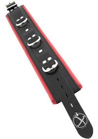 Rouge 3 D Ring Padded Collar Blk/red