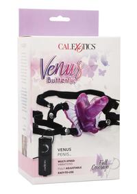 Venus Penis