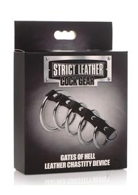 Cg Gates Of Hell Chastity Device Blk/slv