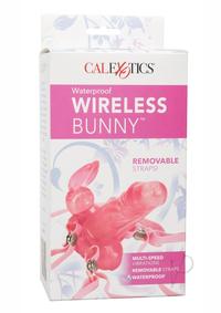 W/p Wireless Bunny
